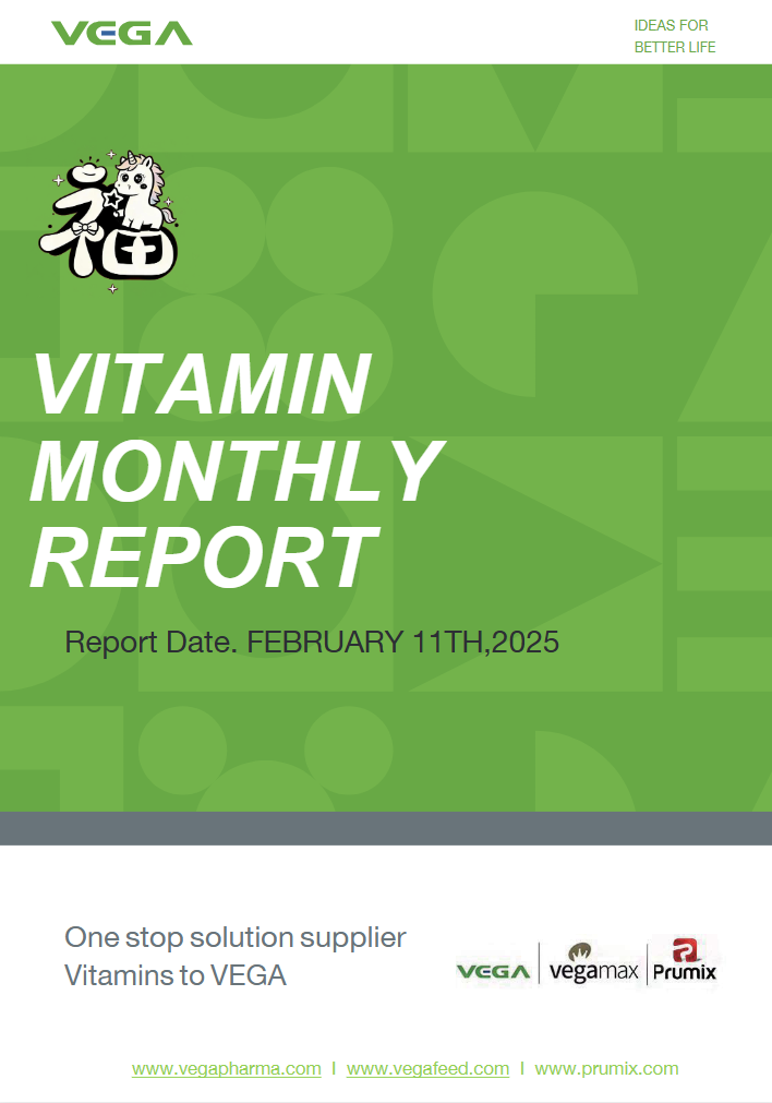 VEGA VITAMINS MONTH REPORT-FEB 11,2026.png